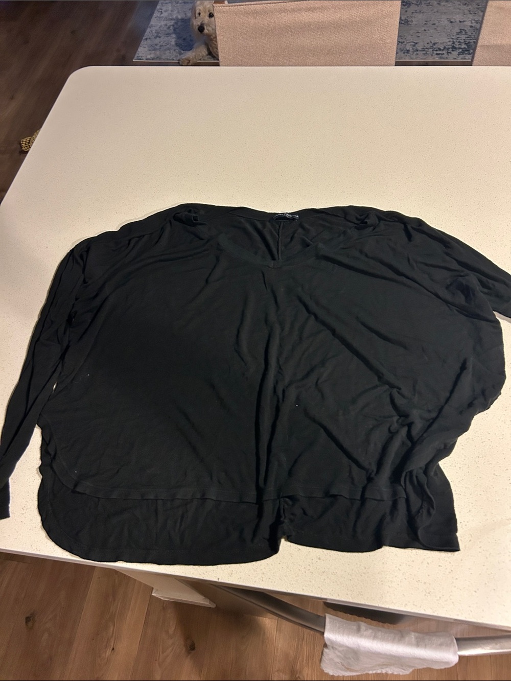 Brandy Melville Black V-Neck Long Sleeve Top
